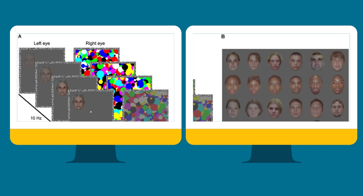 Continuous Flash Suppression experiment studying visual awareness
